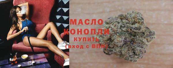 гашик Инта