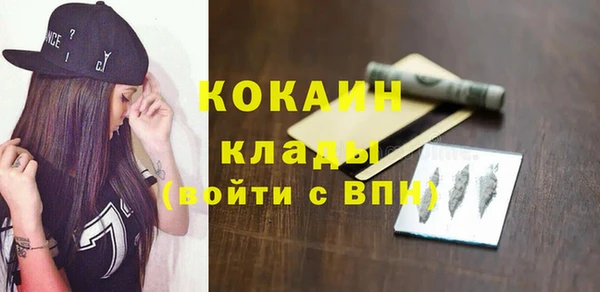 гашик Инта