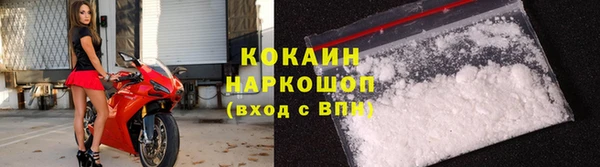 гашик Инта