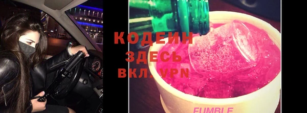 МДПВ Инсар