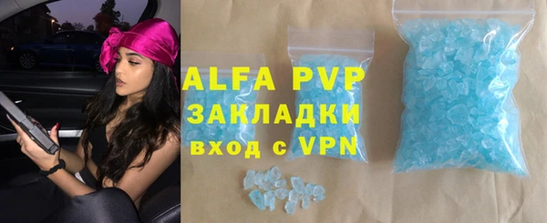 МДПВ Инсар