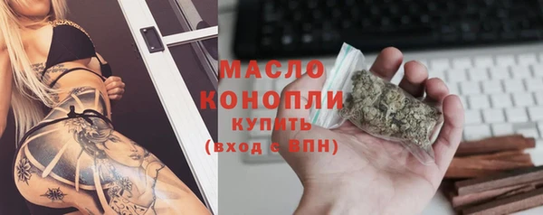 МДПВ Инсар