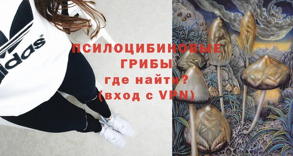 МДПВ Инсар