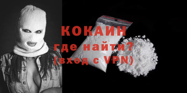 гашик Инта