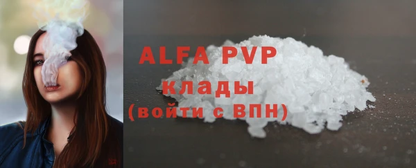 гашик Инта