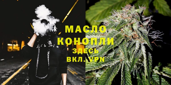 МДПВ Инсар