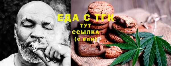 гашик Инта