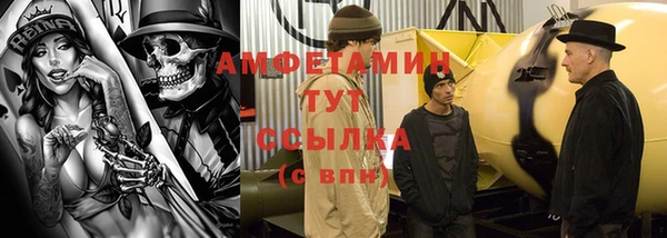 гашик Инта