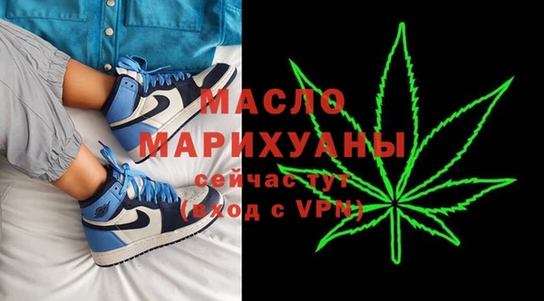 гашик Инта