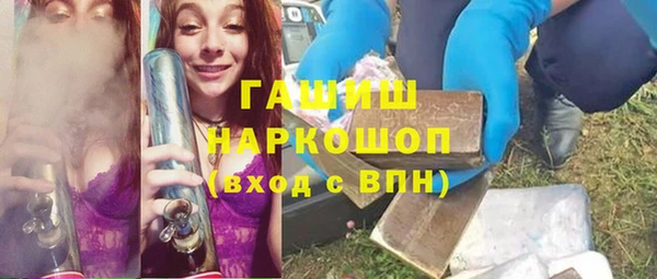 МДПВ Инсар