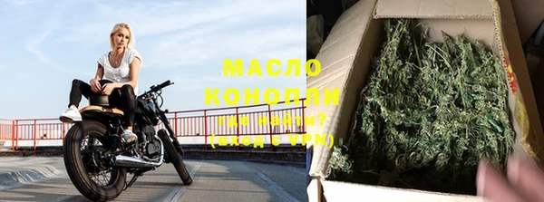 МДПВ Инсар