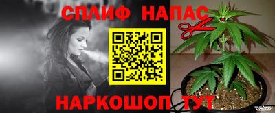 спайс Беслан