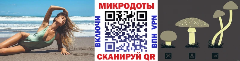 Псилоцибиновые грибы GOLDEN TEACHER darknet формула Братск